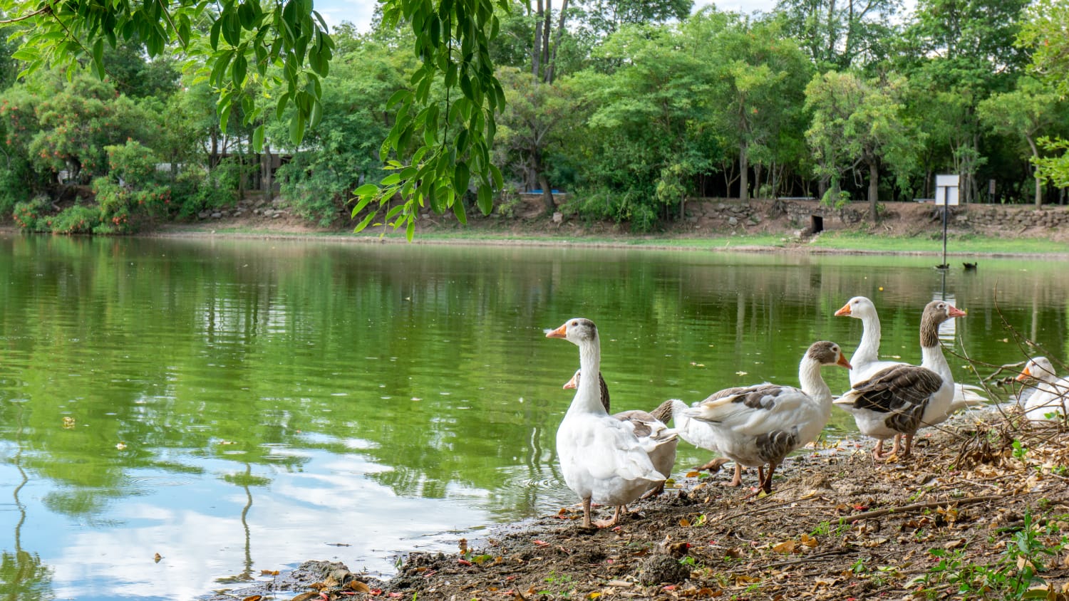 El Complejo Ecológico Municipal una opción ideal para disfrutar durante las vacaciones de invierno y celebrar el Día del Amigo