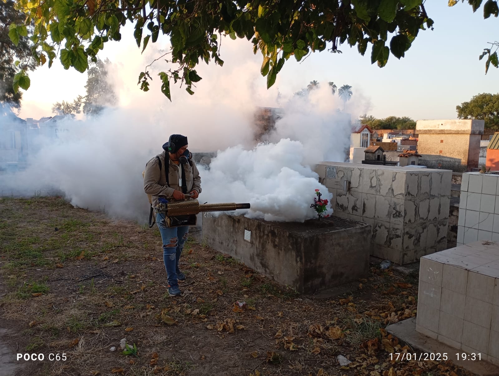 El municipio refuerza la prevención contra el dengue en el cementerio municipal