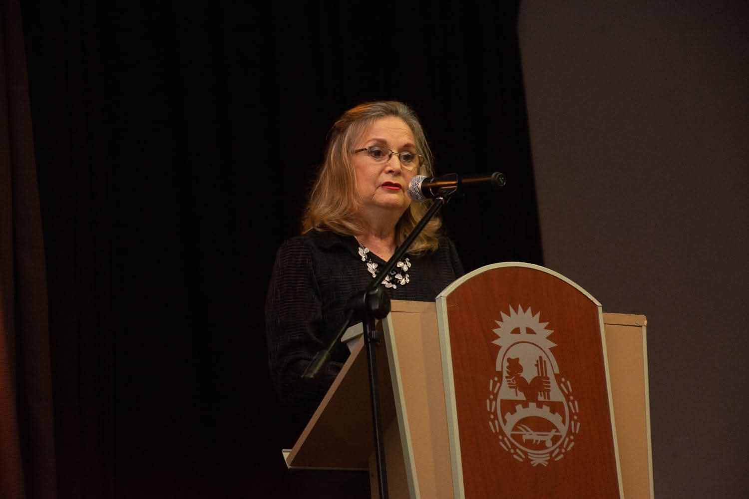 El Plan Maestro de Nominación de Calles de Sáenz Peña será presentado en la Bienal Internacional 2026