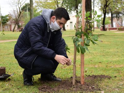 Día del Medio Ambiente: El Municipio plantó árboles en dos plazas de la ciudad